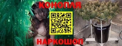 мдпв Пенза