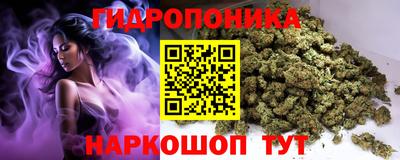 мдпв Пенза