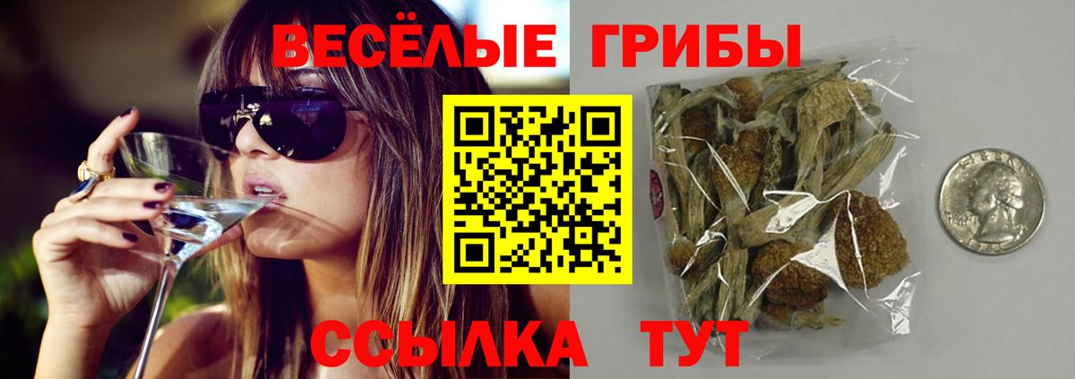 Первоуральск  Псилоцибиновые грибы мухоморы  Вход с VPN 